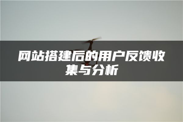 網(wǎng)站搭建后的用戶反饋收集與分析