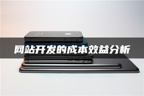 網(wǎng)站開發(fā)的成本效益分析
